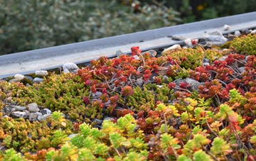 the cost of Old Montrose green roof installation