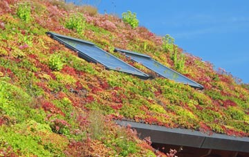 Old Montrose living roof systems