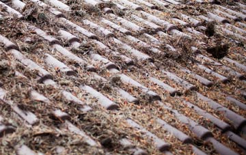 Old Montrose roof cleaning companies