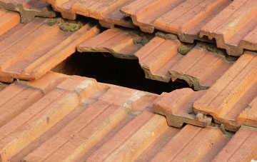 roof repair Old Montrose, Angus