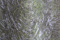 Old Montrose fibreglass roof work